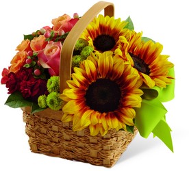 The Bright Day Basket from Parkway Florist in Pittsburgh PA